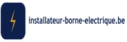 Installateur Borne Electrique